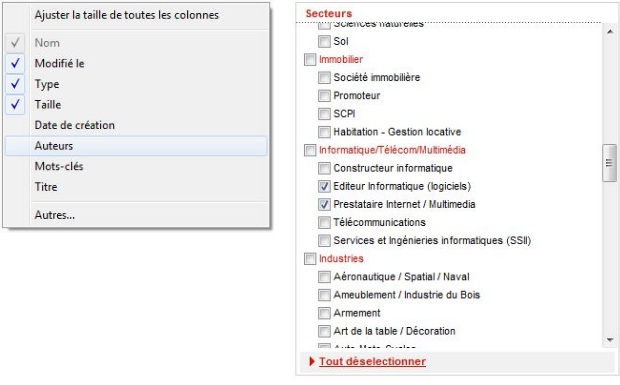 Listes déroulantes de choix de colonnes à afficher (Explorateur Windows7) et de secteurs d'activité (CadresOnline)