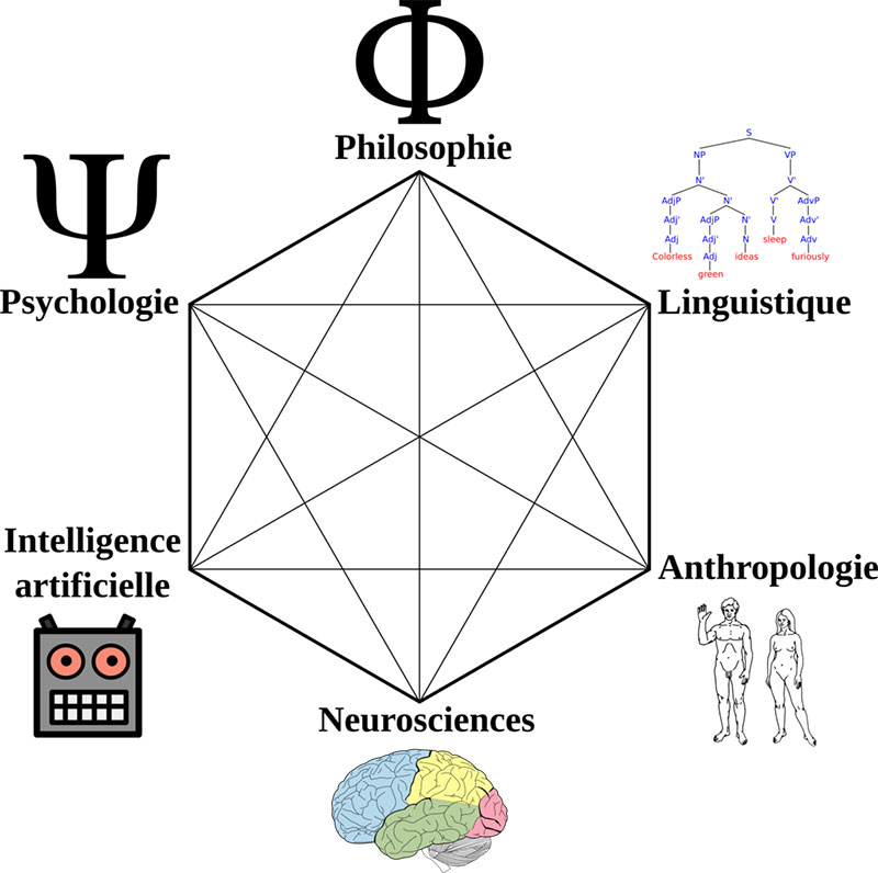 Hexagone des sciences cognitives