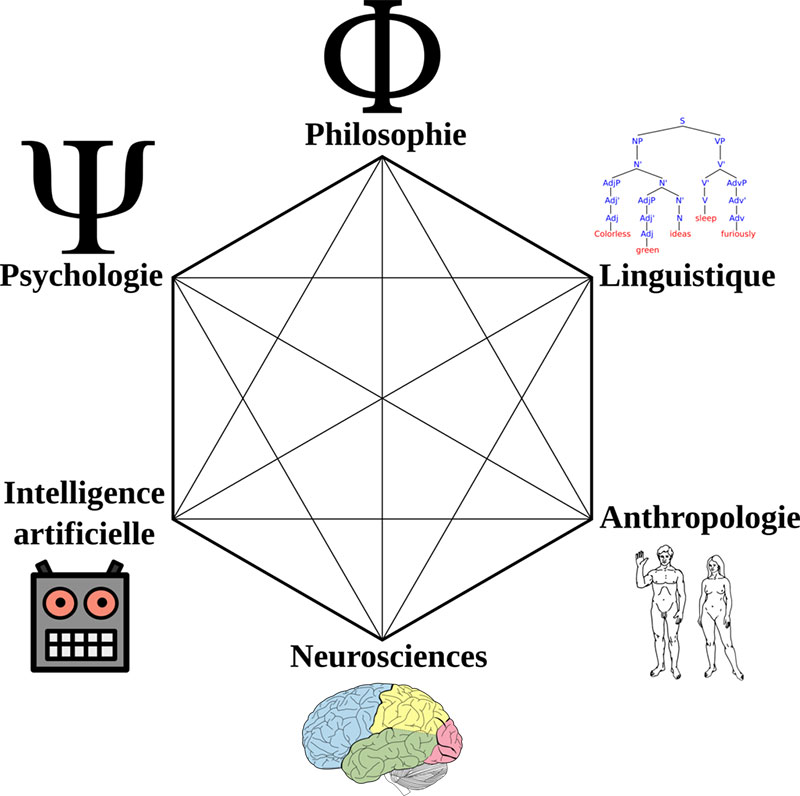 Qu est ce Que Les Sciences Cognitives I D finition Sciences Cognitives Qu est ce Que Les Sciences Cognitives I D finition Sciences Cognitives