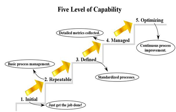 Capability maturity models